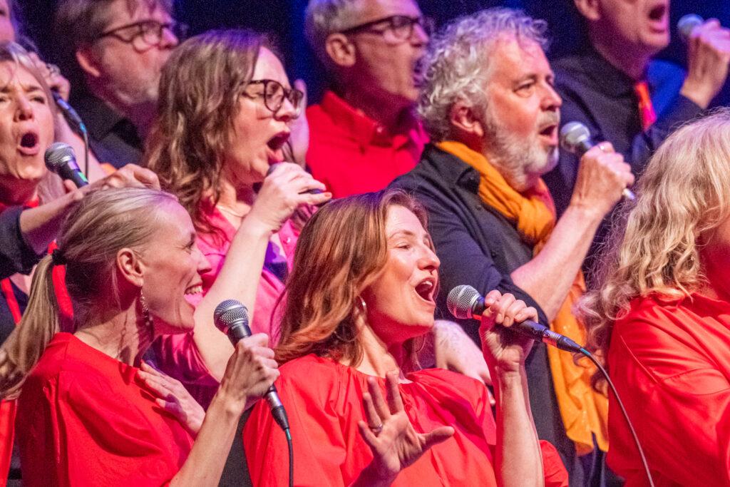 Rejoice Gospel Christmas